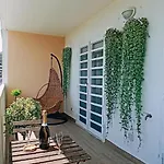 Greenhouse 罗马